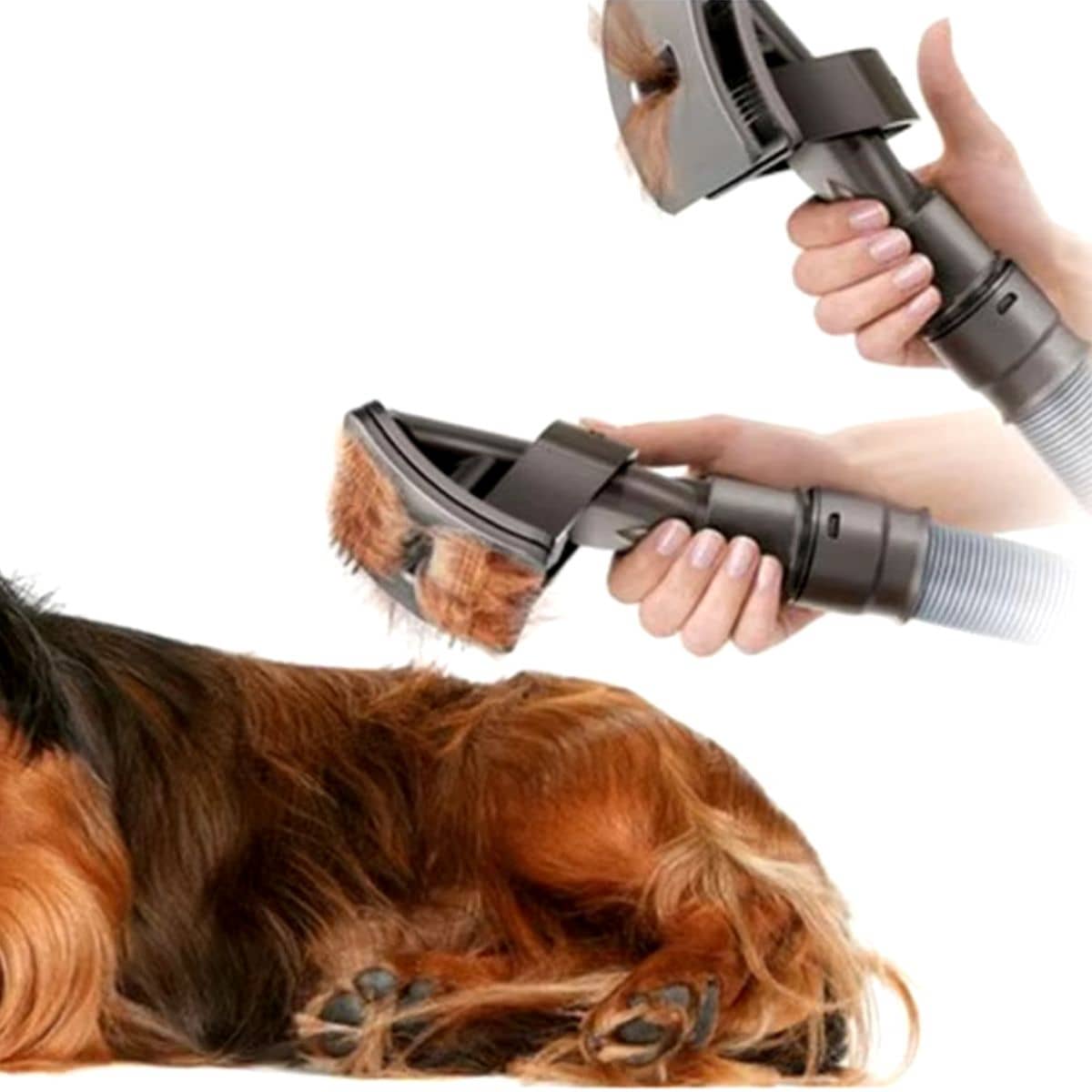 Utilisation du kit Dyson pour animaux